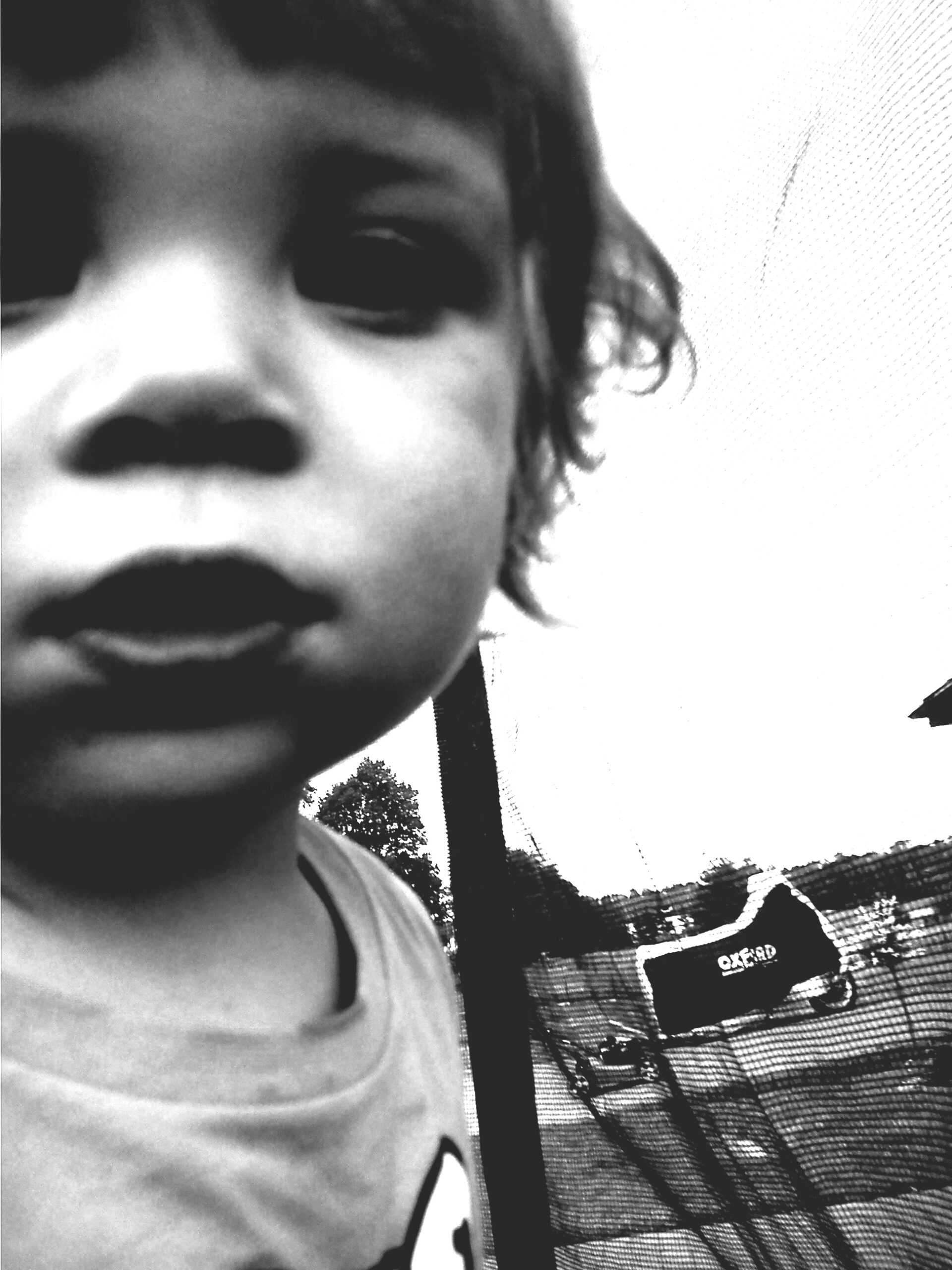 Fotografia 12