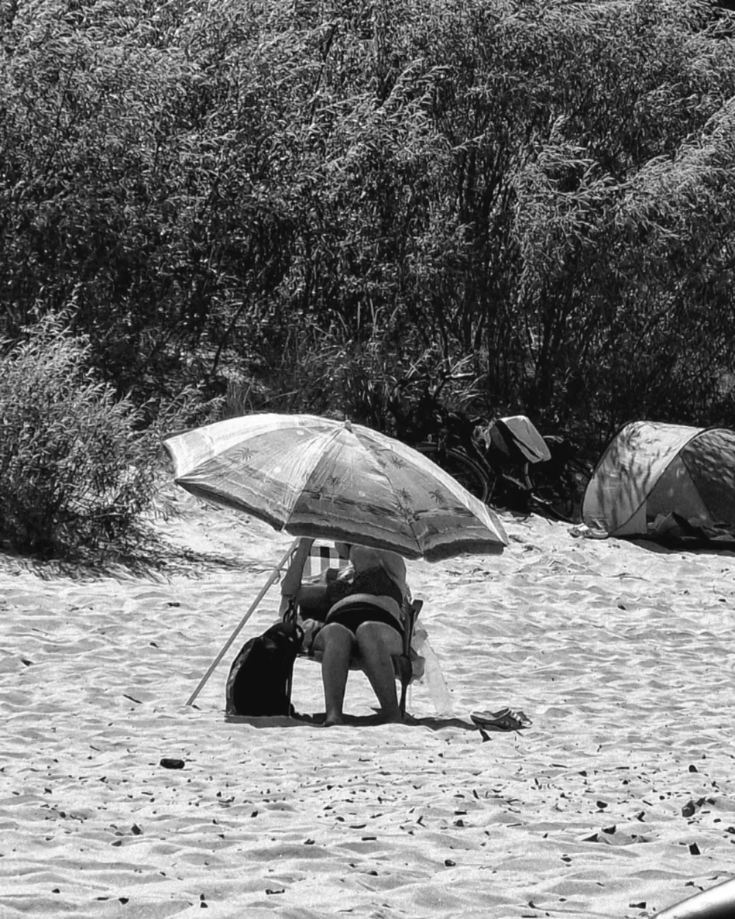 Fotografia 7