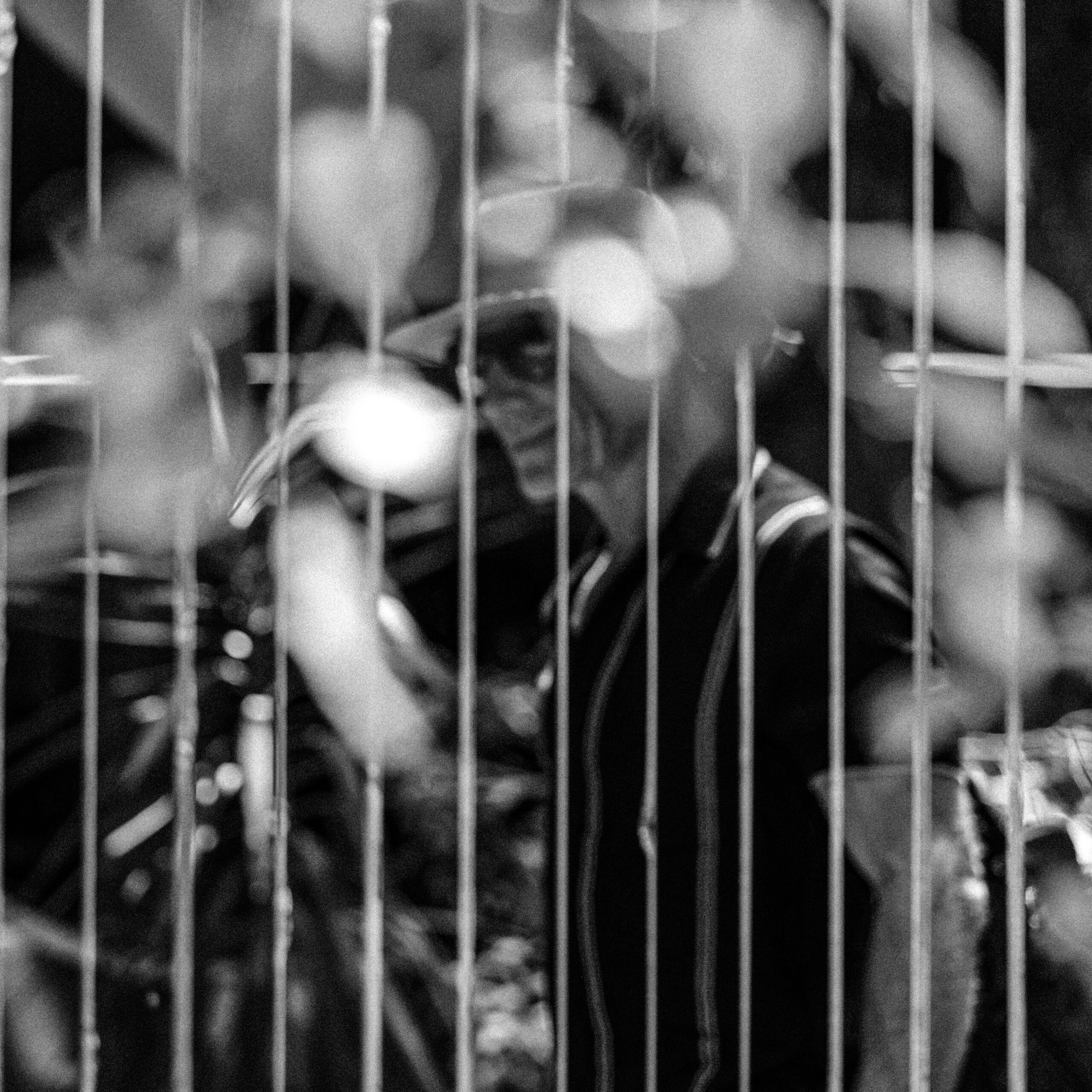 Fotografia 8